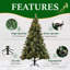195' H Christmas Tree