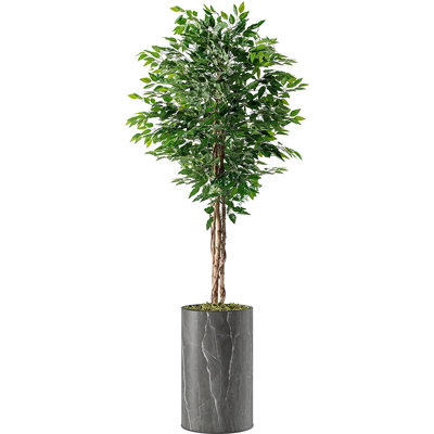Faux Ficus Tree in Plastic Planter