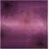 Amier Floral Handmade Tufted Purple Area Rug