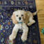 Laurel Edina Machine Woven Polyester No Pattern Area Rug in Navy-1291453760