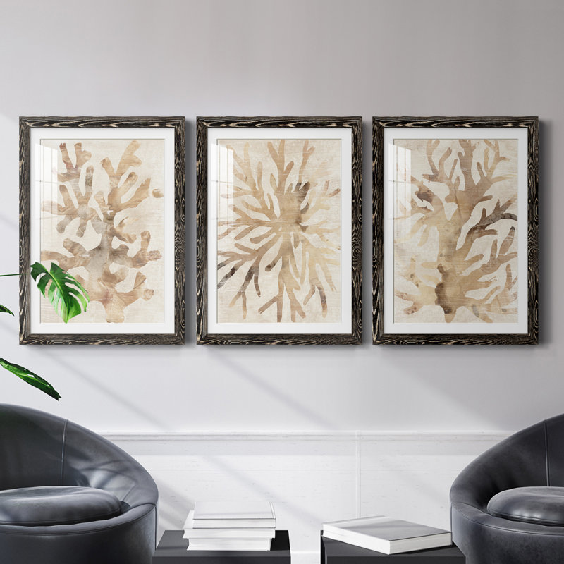 Parchment Coral I - ensemble de 3 reproductions de cadres photo, H 31,5 po x l 47 po x P 1,5 po, Noir