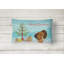  Coussin Turquie / Turquie