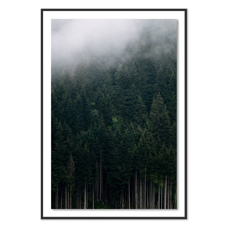 Rolling In 1 Print by Michael Schauer, Black, 72" H x 50" W x 2.5" D