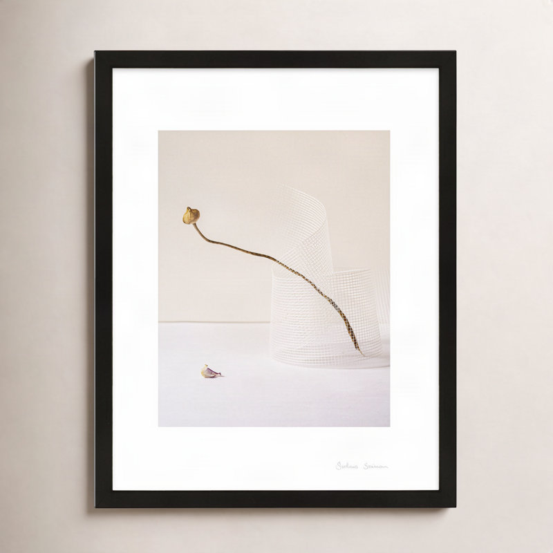 SV02802_Balance 2 By Svetlana Smirnova - Framed Wall Art, Black Framed, 25" H x 20" W x 1.25" D