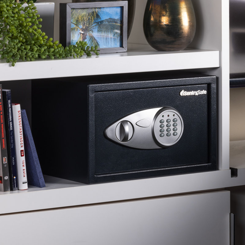 SentrySafe 0.58 Cu. Ft. Security Safe with Keypad Dual Lock