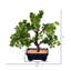 Bonsaï artificiel en pot 12 po