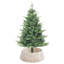 Water Hyacinth Tree Collar