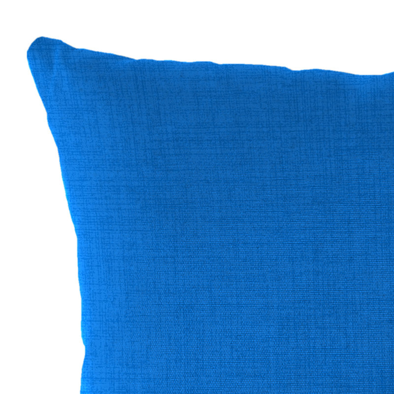 16" x 16" Outdoor Throw Pillow (Set of 2), Celosia Princess Blue