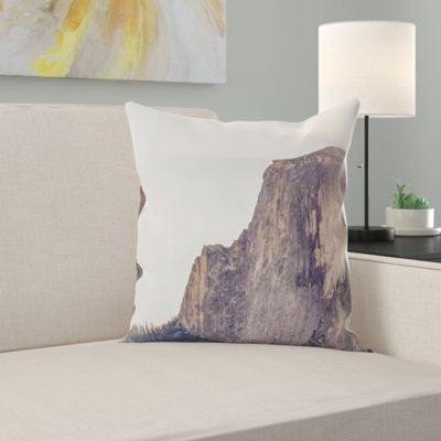 Coussin de falaise