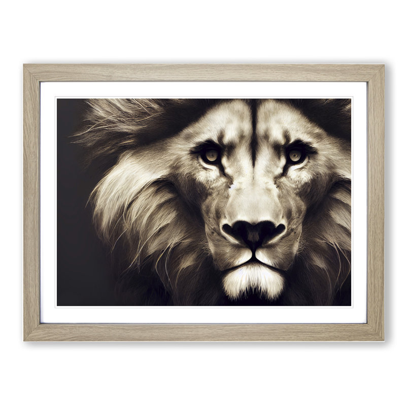 Tantalising Lion - Single Picture Frame Print, 46cm H x 64cm W, Oak