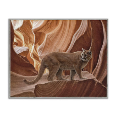 Cougar Canyon View Framed Giclee, design by Collin Bogle