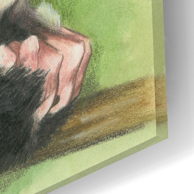 «Sugar Glider» par Barbara Keith - impression non encadrée, H 16 po x l 24 po x P 0,2 po
