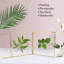 2 cadres photo suspendus en laiton 8 pièces 8 x 8 pouces, double cadre en verre pour fleurs pressées, cadre de photos d'art mural rétro transparent