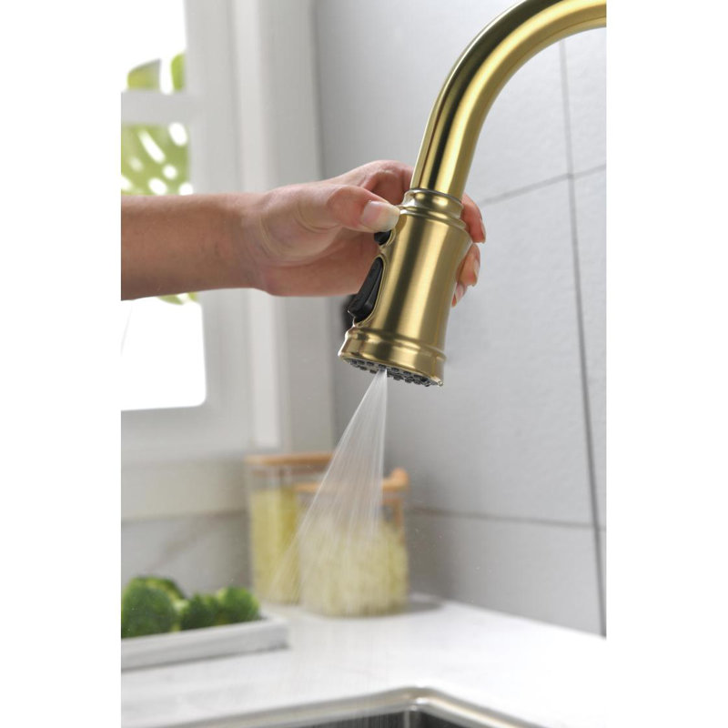 Single Handle High Arc Pull Out Kitchen Faucet,Single Level Stainlesaucets With Pull Down Sprayer, Brushed Gold