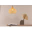 Alesana 1 - Light Unique/Statement Pendant-1818254640