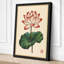 Lotus in Bloom Botanical - Wrapped Canvas-809397136-809397142