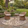 Carolan Performance Floral Indoor/Outdoor Area Rug
