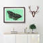 Mint Green Butterfly - Picture Frame Graphic Art Print-56859678-56859681