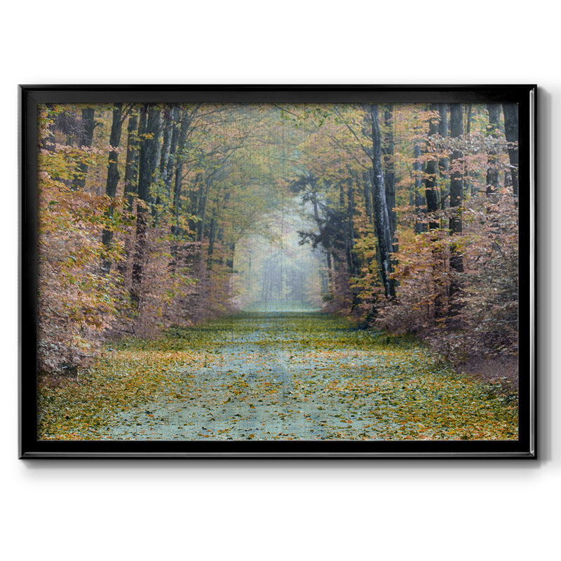 Enchanted Path, reproduction d'art sur toile, Noir, H 26 po x l 38 po x P 1,5 po