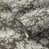 Fallingbrook Olive I