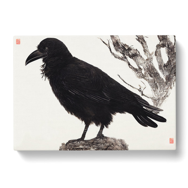 Amazing Raven Bird - Wrapped Canvas, 50cm H x 76cm W x 3cm D