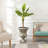 Valetta Handmade Urn Planter-1161436377