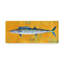 «Wahoo» par Kaior, impression sur toile tendue-27488211