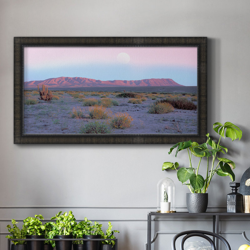 «Vallenar Atacama Desert», reproduction d'un seul cadre photo sur toile, H 25 po x l 45 po x P 1 po