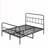 Hogsett Metal Platform Bed-647888811
