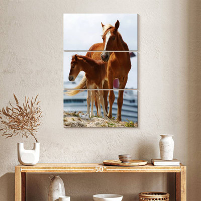 Brampt chevaux bruns