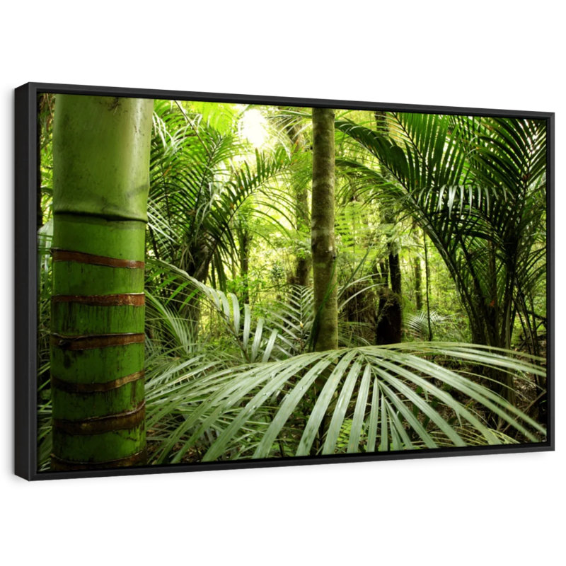 Nature «Into The Jungle», reproduction sur toile, H 17 po x l 25 po