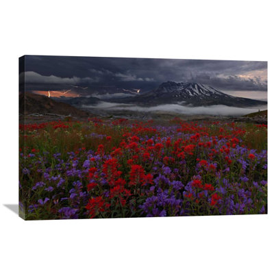 Apocalypse Now by Miles Morgan Photographic Print on Wrapped Canvas