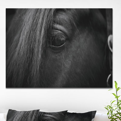 Œil d'un cheval - reproduction de photo sur toile tendue