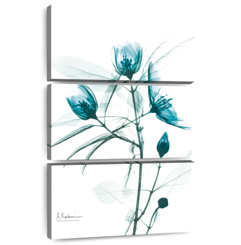 Harnek Aqua Beautiful croissance II, H 32 po x l 20 po
