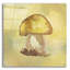 «Treasured Mushroom» par Yass Naffas Designs-101632175
