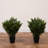 2ft. Artificial Cedar Tree UV Resistant (Indoor/Outdoor) - Set of 2-867937666