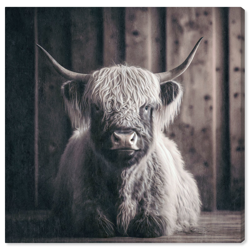 «Kathern Baby Highland Cow» par Wynwood Studio, H 12 po x l 12 po x P 0,8 po