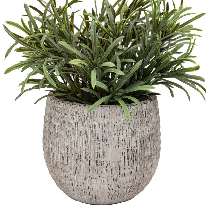 Potted Plant Ceramic Scratch Pot Rosemary