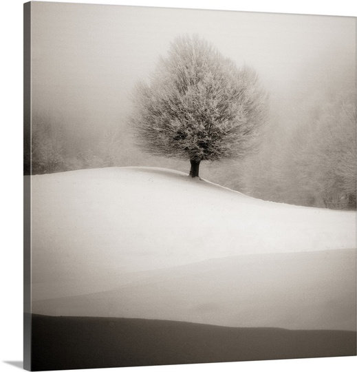 "winter degraded" , impression sur toile, H 24 po x l 24 po