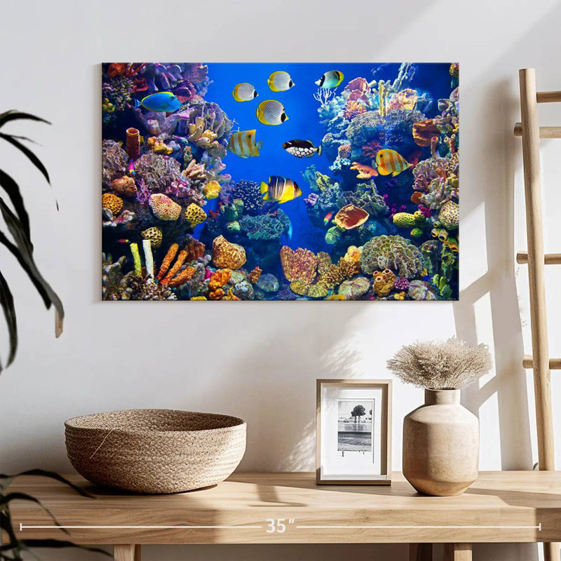 Teeming underwater life Aletra, H 16 po x l 24 po