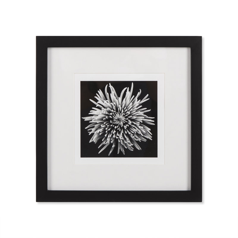 Black Blossom - D Print