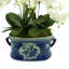 Orchid 32" H Floral Arrangements in Pot