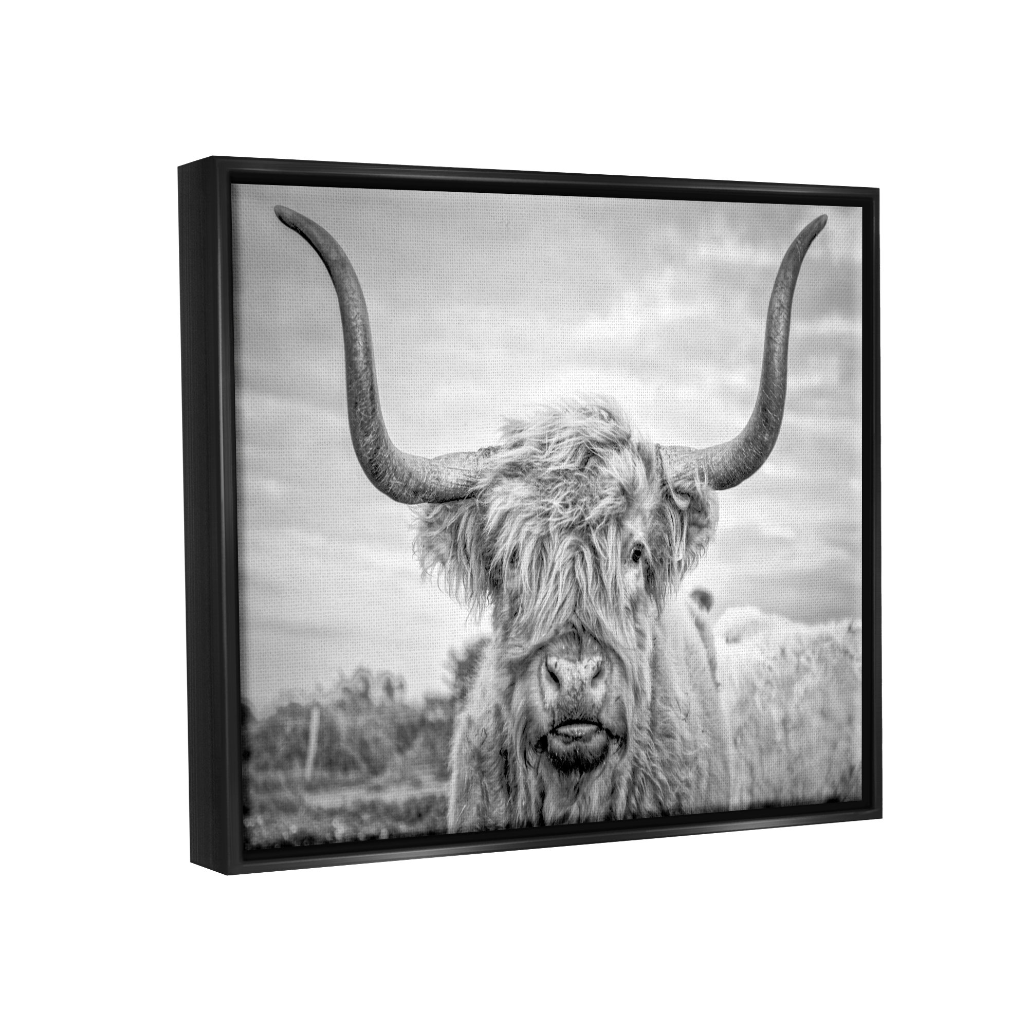 Foundry Select Black And White Highland Cow Photograph Framed On Canvas ...