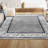 Devyn French Border Gray/Cream Rug-2082570199