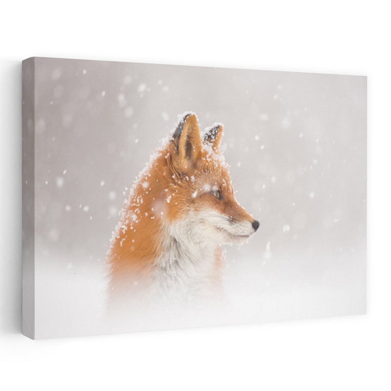 Print, 60.96cm H x 91.44cm W