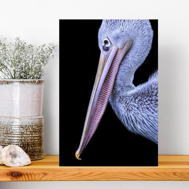 Graceful Pelican Portrait Elegant Minimalist Bird Pelican Nature Portrait Wall Art Print 1 Piece Wrapped Canvas Wall Art