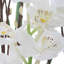 Centre de table et vase Uttermost Eterna