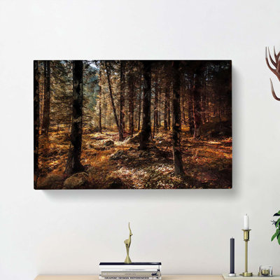 Within The Woods - Wrapped Canvas