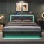 Ottoman Storage Bed-1401787205