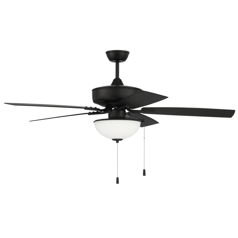 Ceiling Fan with LED Lights, Flat Black